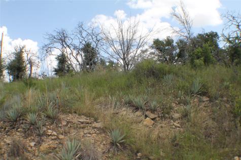 N/a Newcastle Drive Brownwood TX 76801