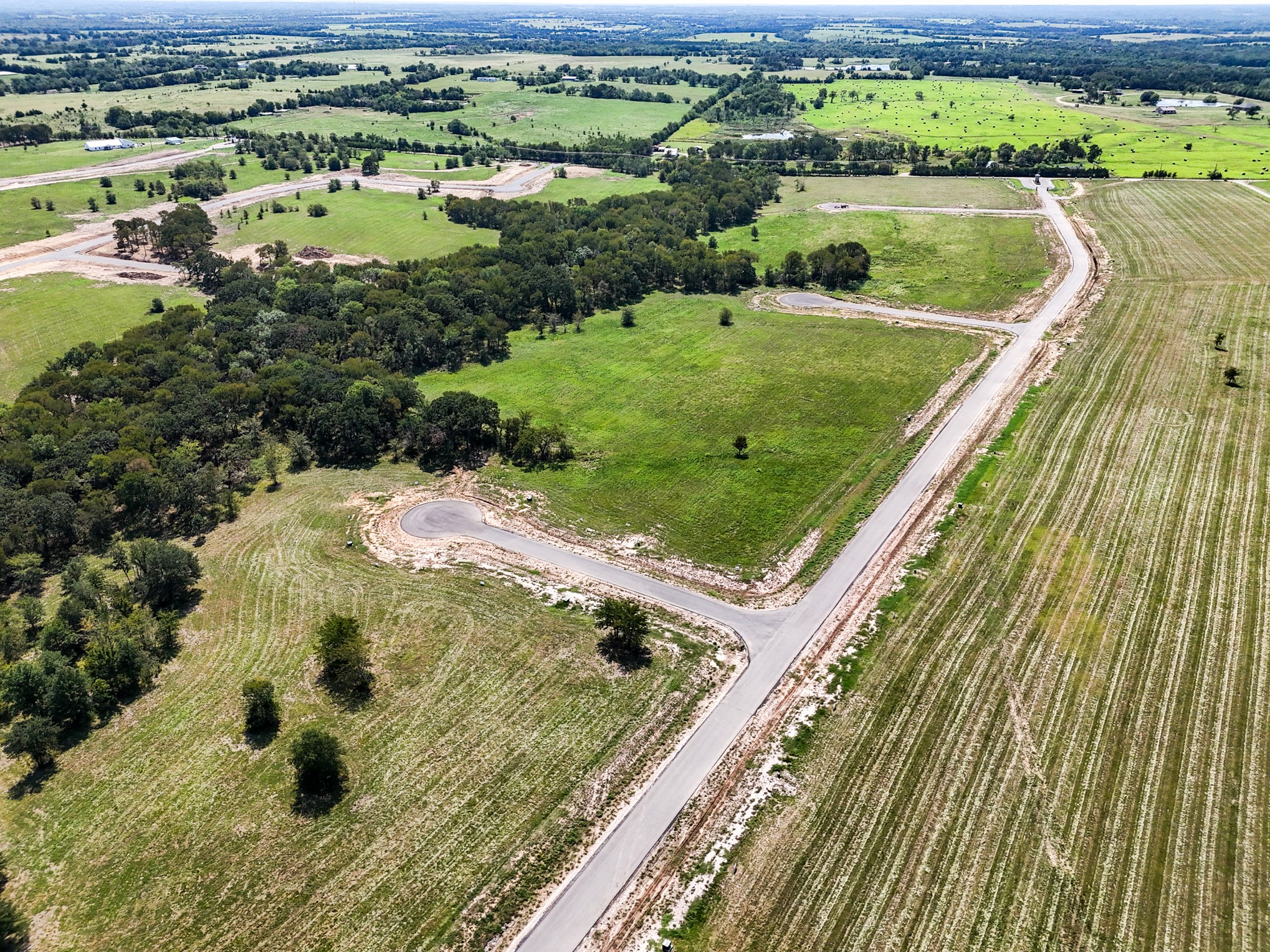 220 Diamond Point Dodd City TX 75438