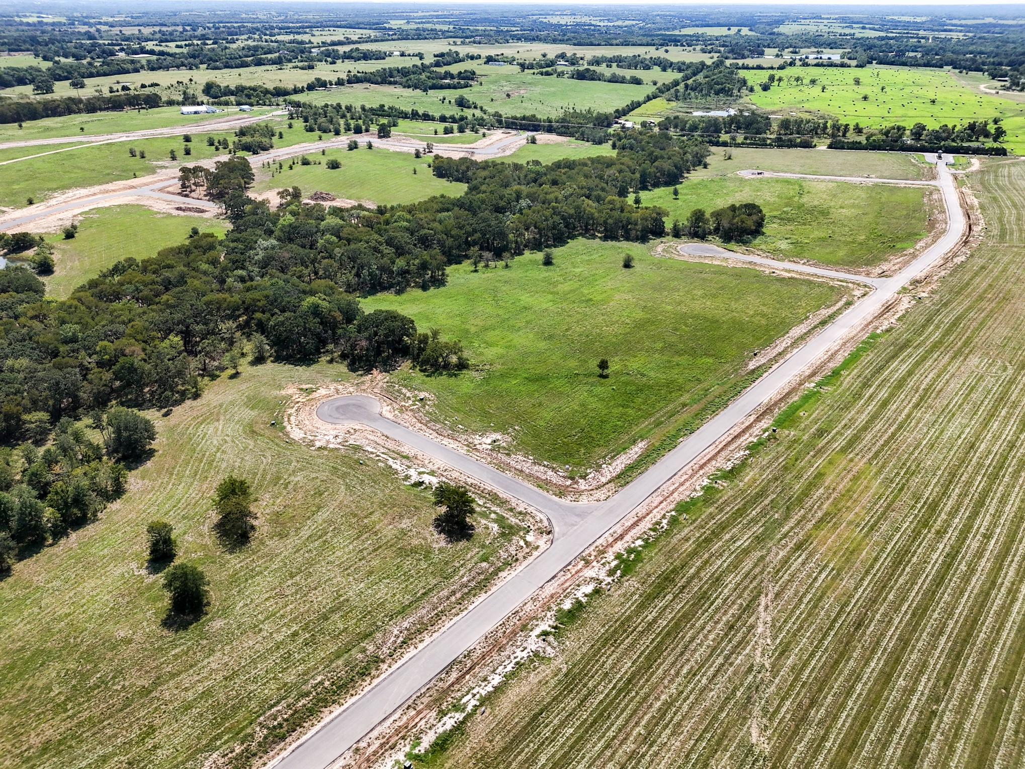 220 Diamond Point Dodd City TX 75438