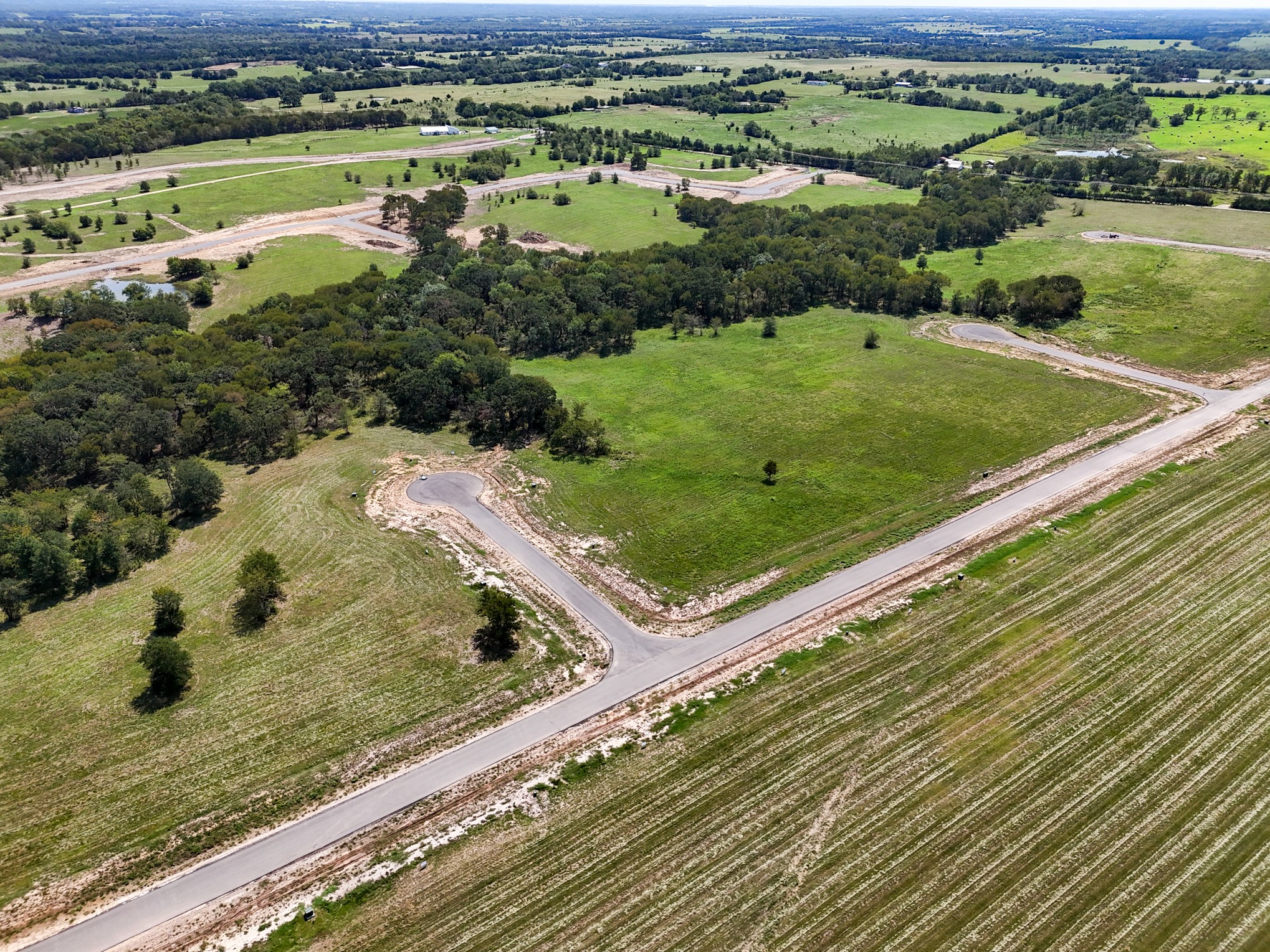 220 Diamond Point Dodd City TX 75438