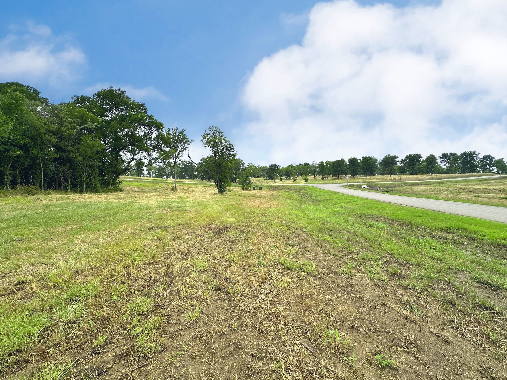 Lot 6 & Tbd Btslp#23 Emerald Lane Corsicana TX 75109