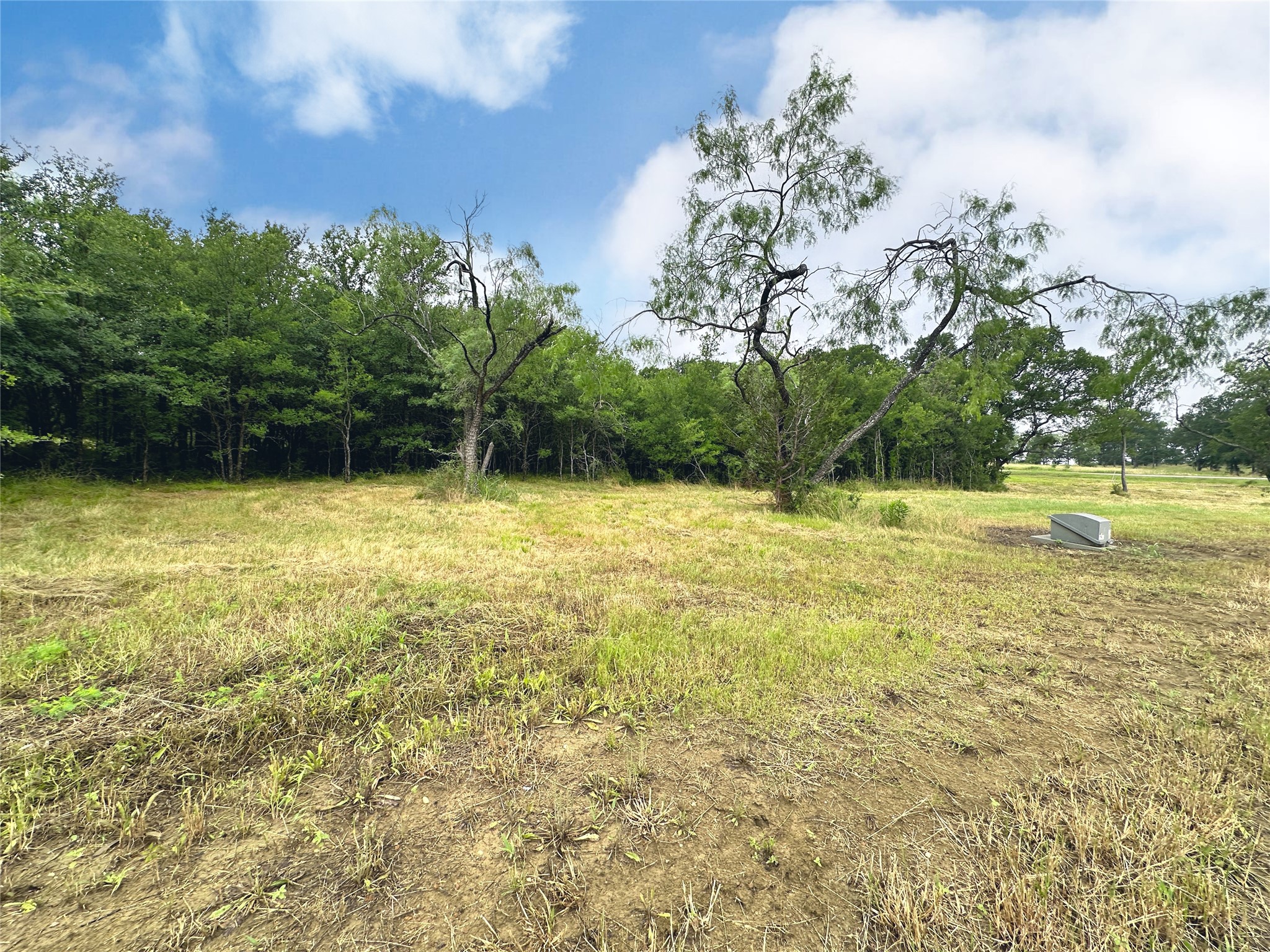 Lot 6 & Tbd Btslp#23 Emerald Lane Corsicana TX 75109
