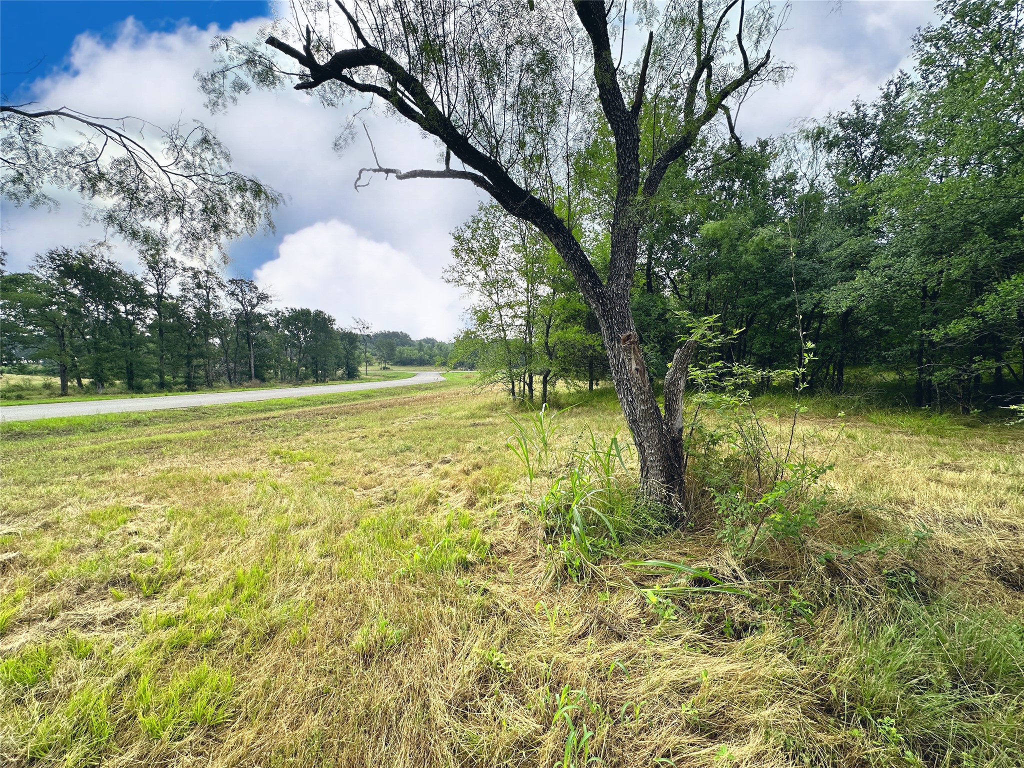 Lot 6 & Tbd Btslp#23 Emerald Lane Corsicana TX 75109