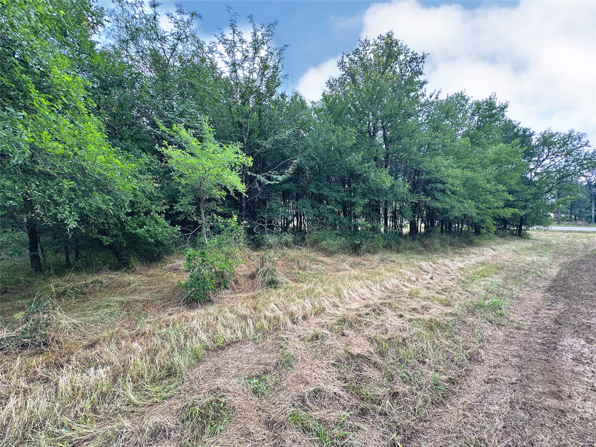Lot 6 & Tbd Btslp#23 Emerald Lane Corsicana TX 75109