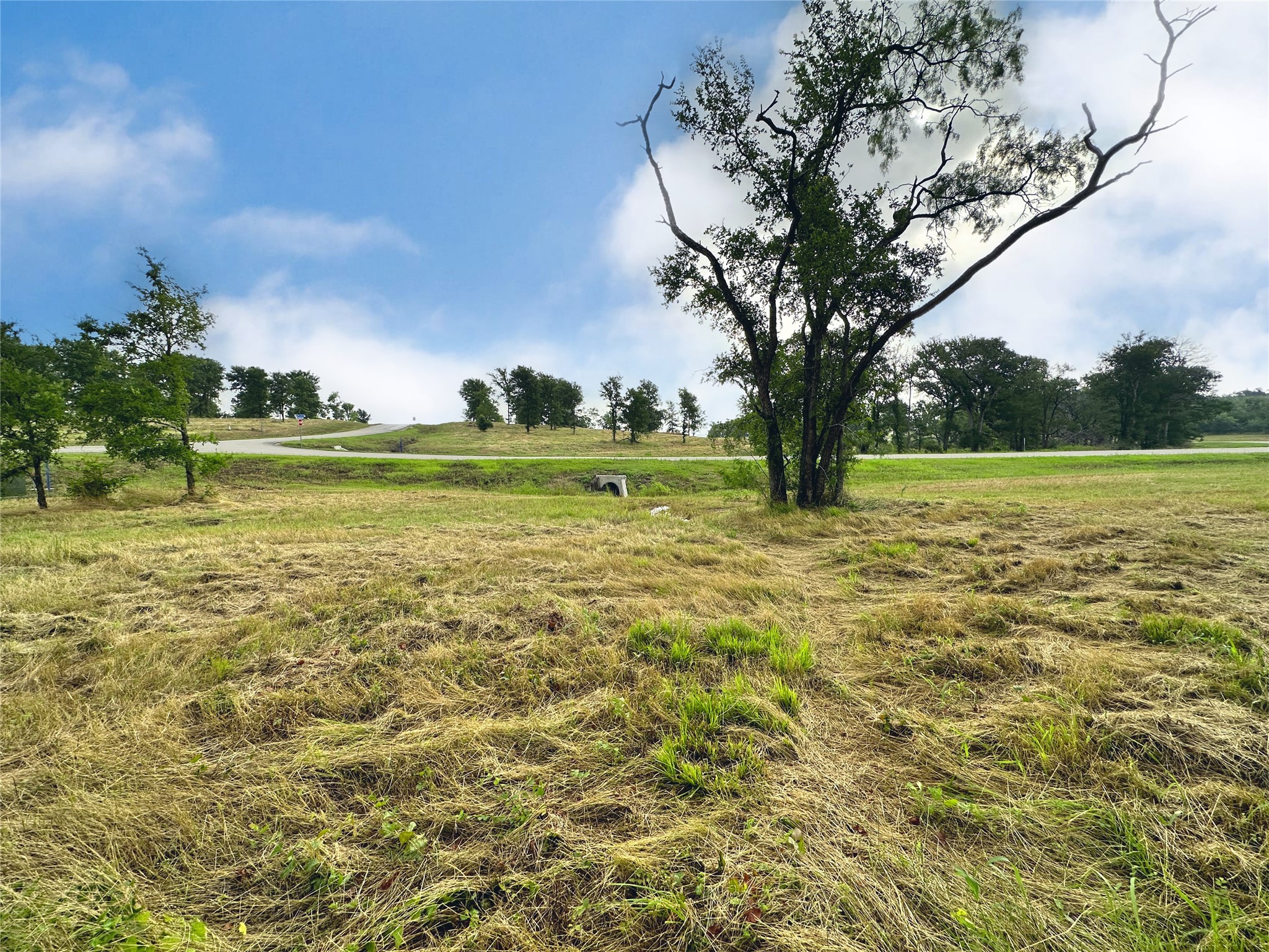 Lot 6 & Tbd Btslp#23 Emerald Lane Corsicana TX 75109