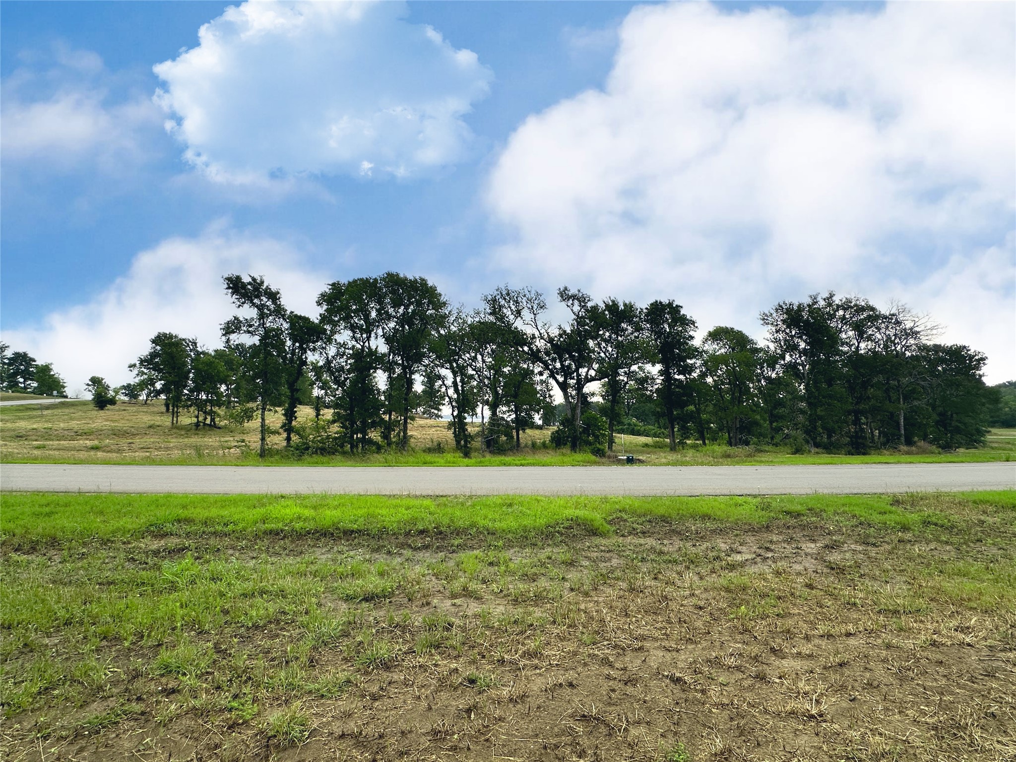 Lot 6 & Tbd Btslp#23 Emerald Lane Corsicana TX 75109