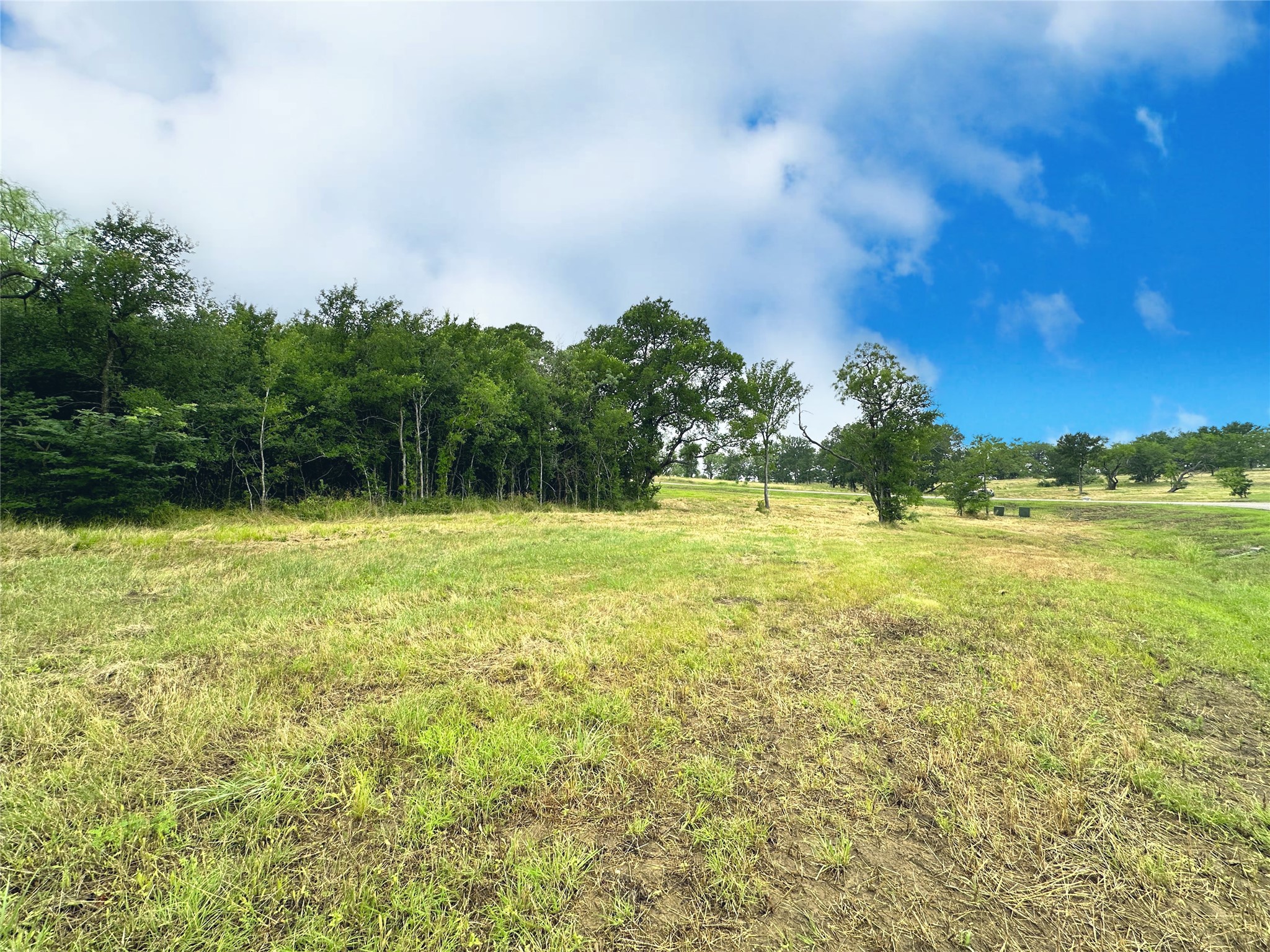 Lot 6 & Tbd Btslp#23 Emerald Lane Corsicana TX 75109