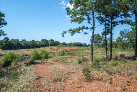 18021 State Highway 155 S Flint TX 75762
