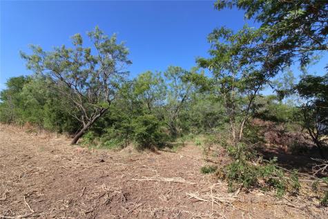 Tbd Fm Road 2860 Kemp TX 75143