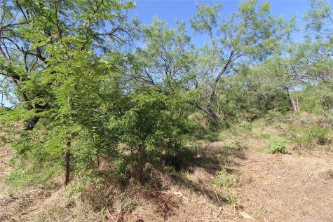 Tbd Fm Road 2860 Kemp TX 75143