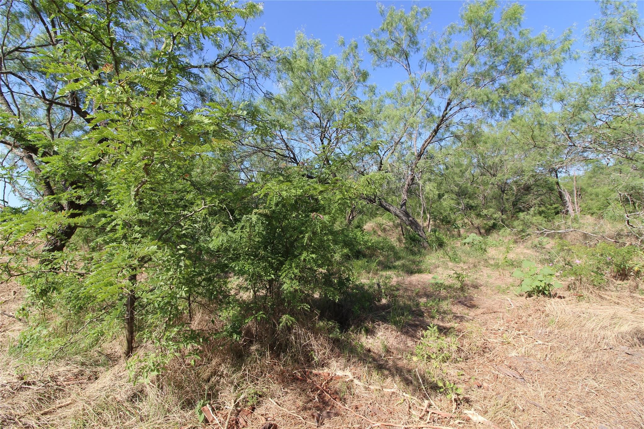 Tbd Fm Road 2860 Kemp TX 75143