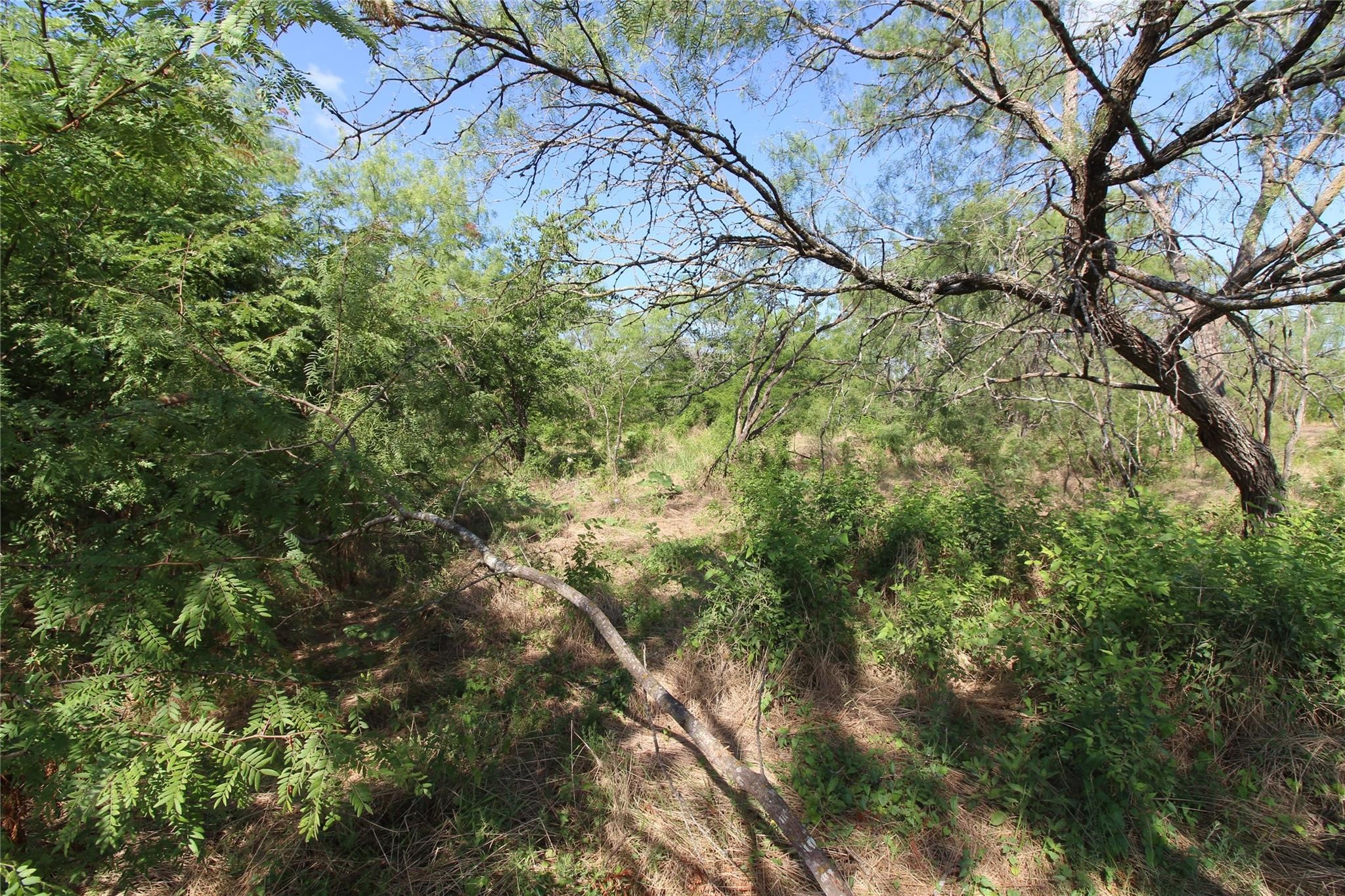 Tbd Fm Road 2860 Kemp TX 75143