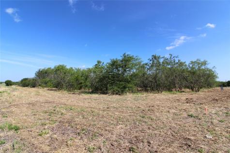 Tbd Fm Road 2860 Kemp TX 75143
