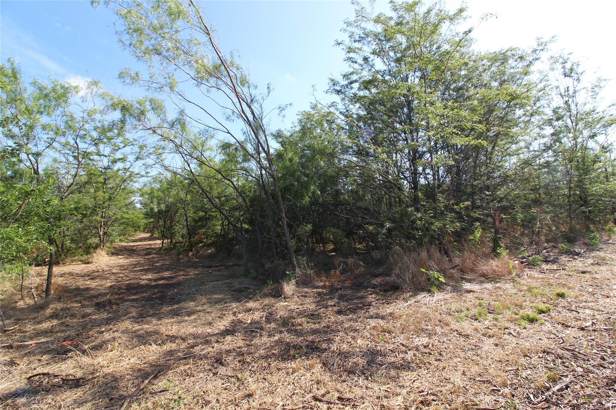 Tbd Fm Road 2860 Kemp TX 75143