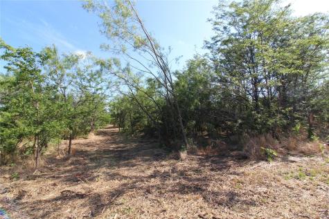 Tbd Fm Road 2860 Kemp TX 75143