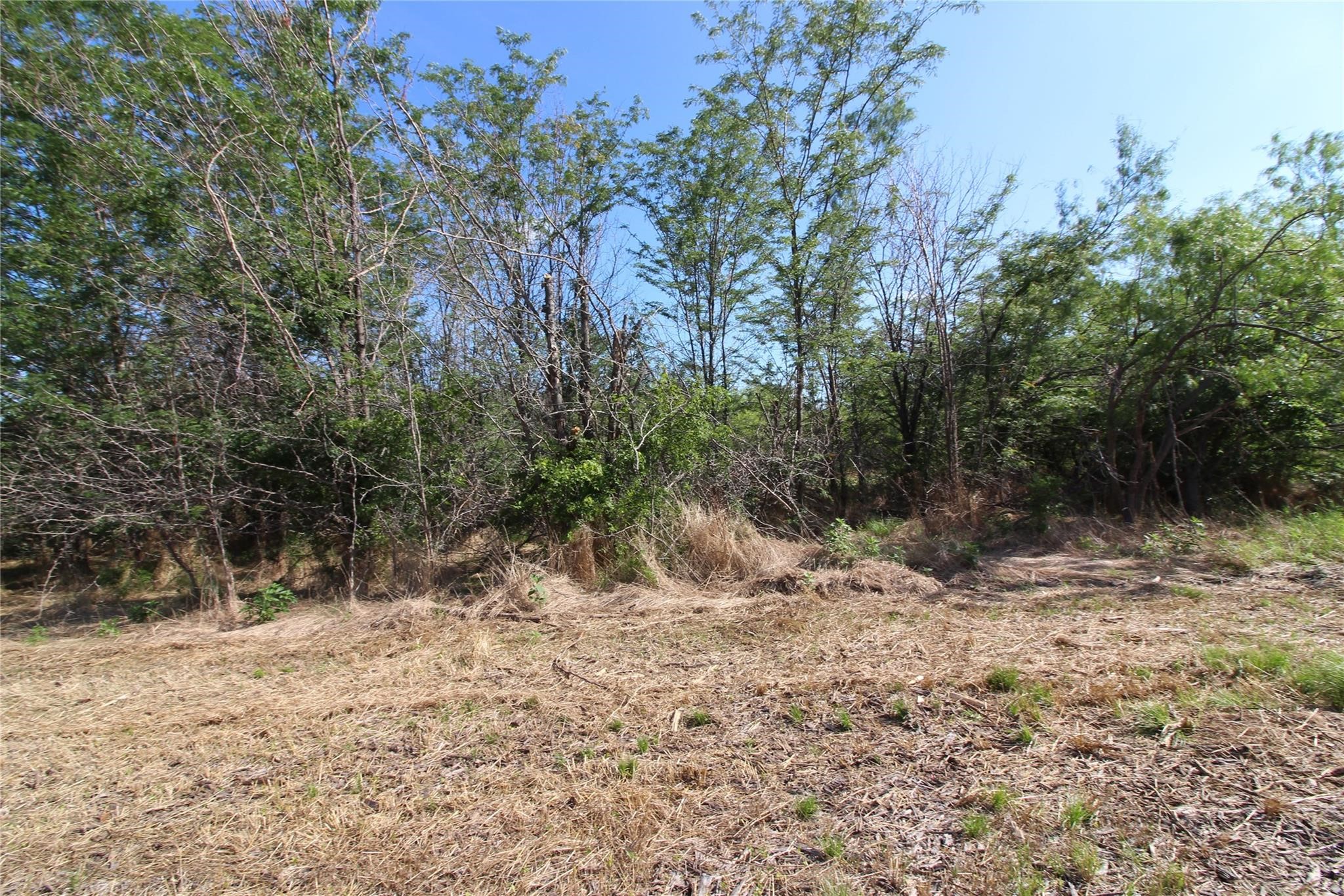 Tbd Fm Road 2860 Kemp TX 75143