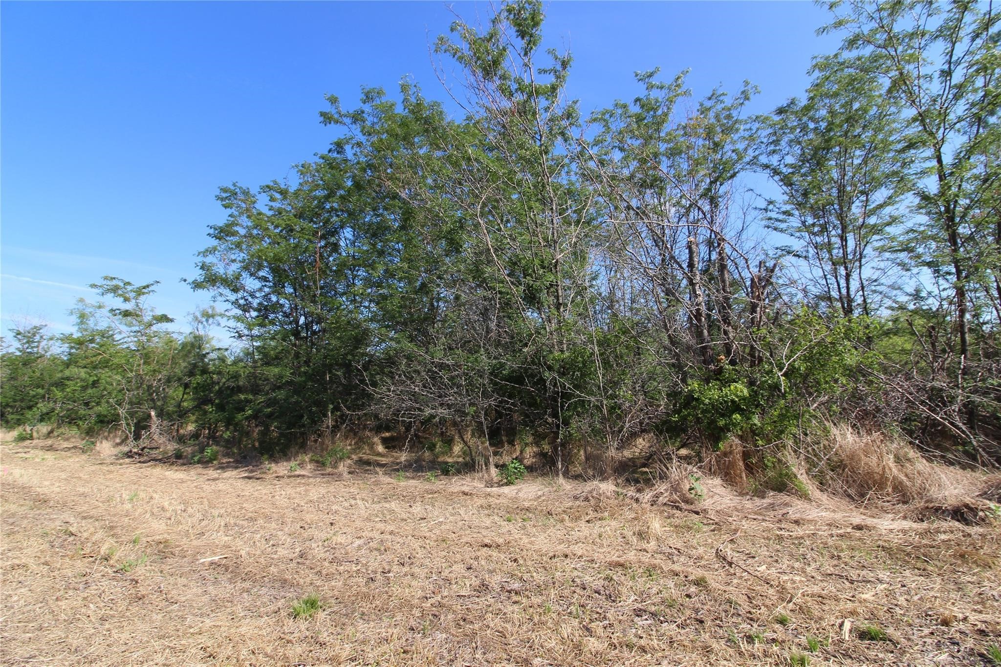 Tbd Fm Road 2860 Kemp TX 75143