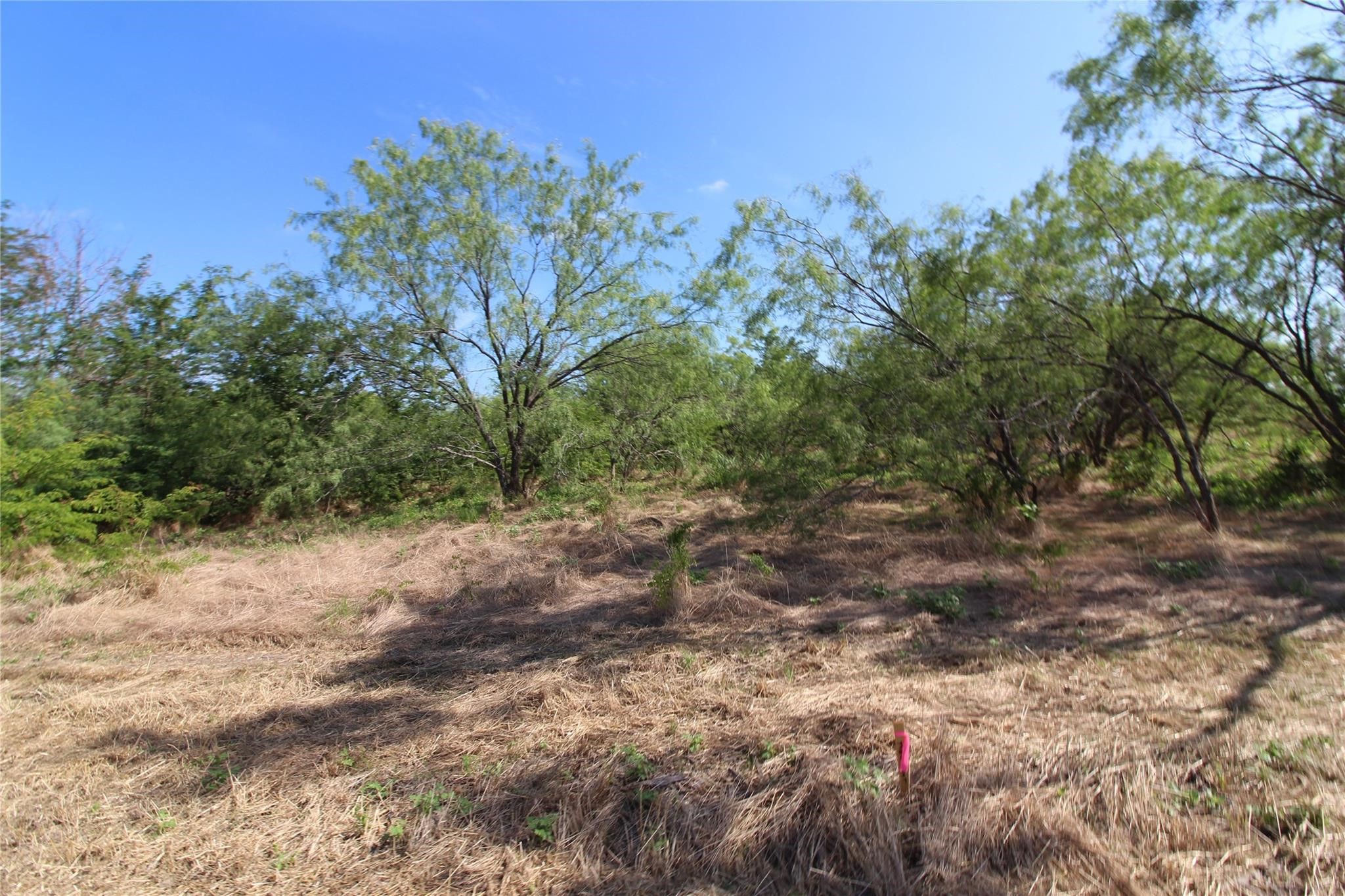 Tbd Fm Road 2860 Kemp TX 75143