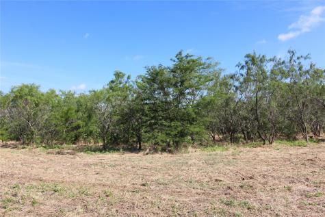 Tbd Fm Road 2860 Kemp TX 75143