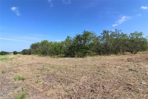 Tbd Fm Road 2860 Kemp TX 75143