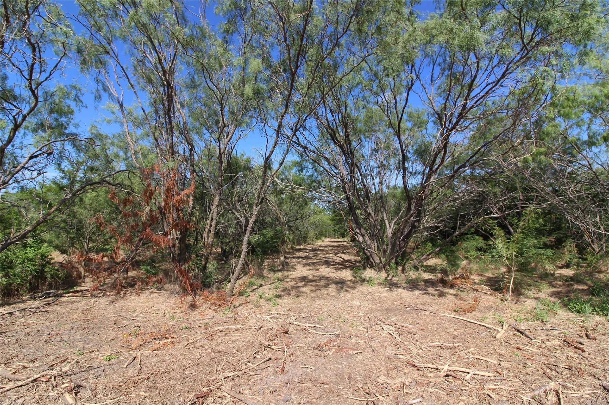 Tbd Fm Road 2860 Kemp TX 75143