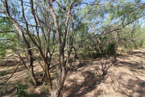 Tbd Fm Road 2860 Kemp TX 75143