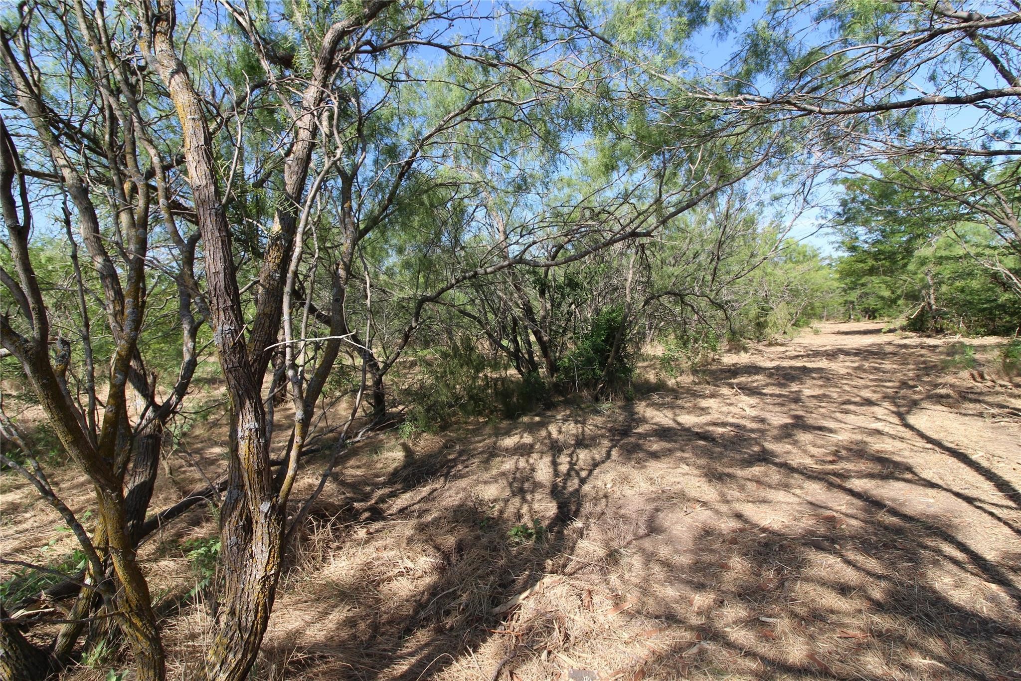 Tbd Fm Road 2860 Kemp TX 75143
