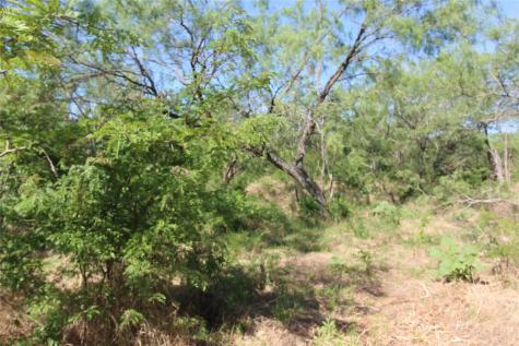 Tbd Fm Road 2860 Kemp TX 75143