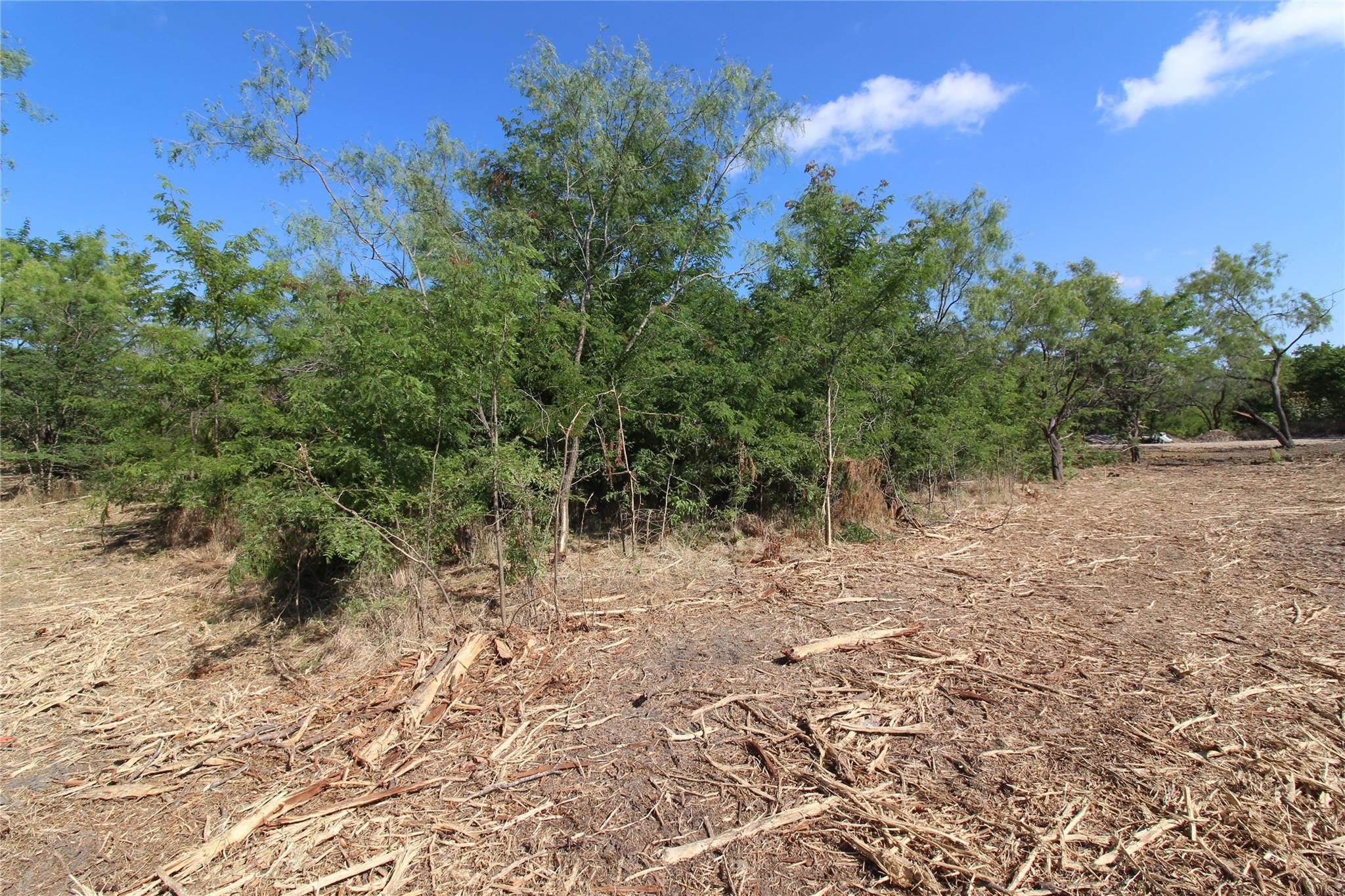 Tbd Fm Road 2860 Kemp TX 75143