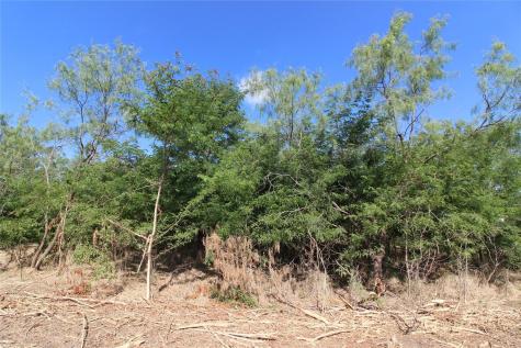 Tbd Fm Road 2860 Kemp TX 75143