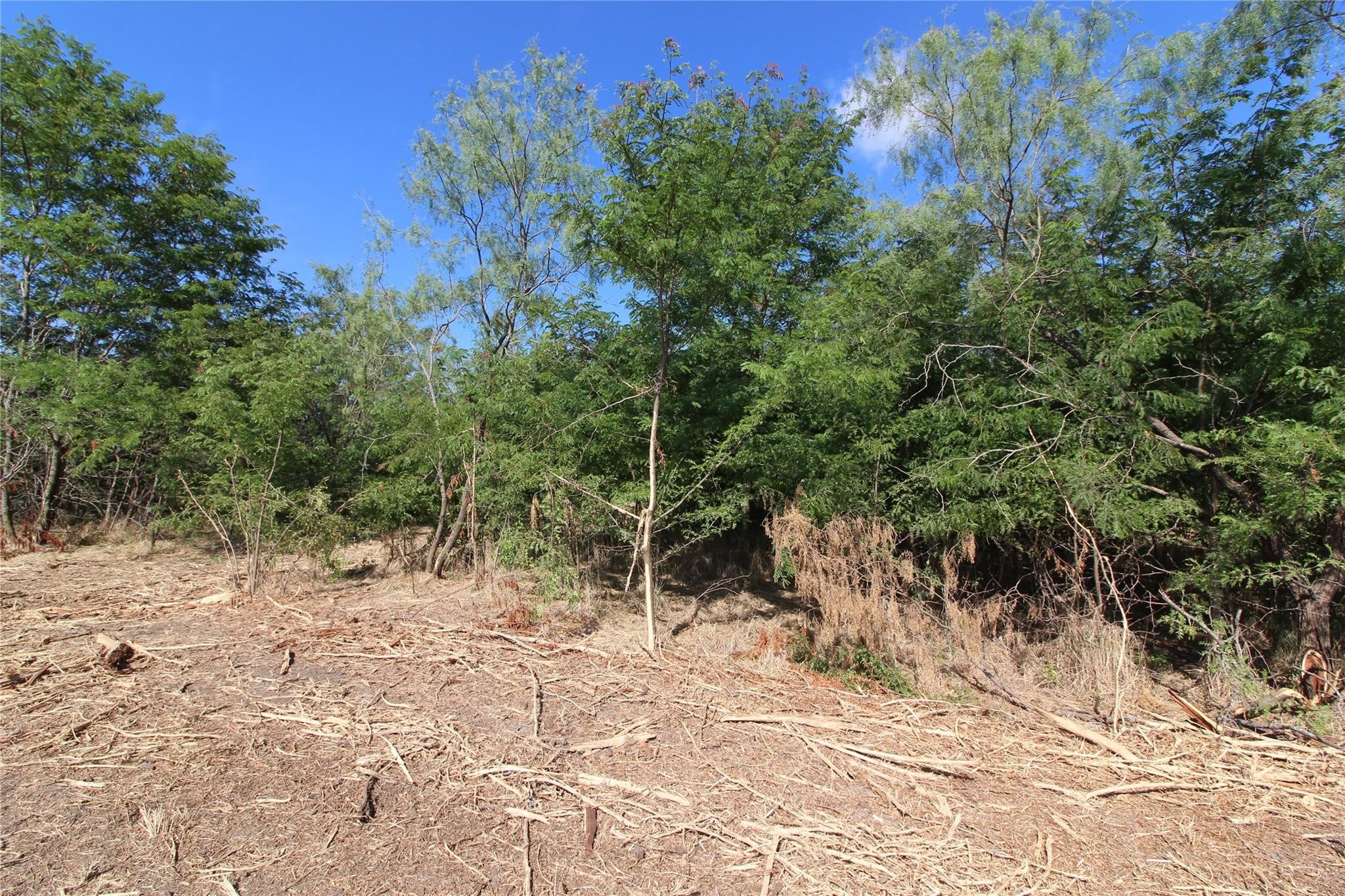 Tbd Fm Road 2860 Kemp TX 75143