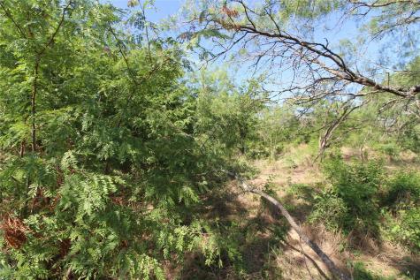 Tbd Fm Road 2860 Kemp TX 75143