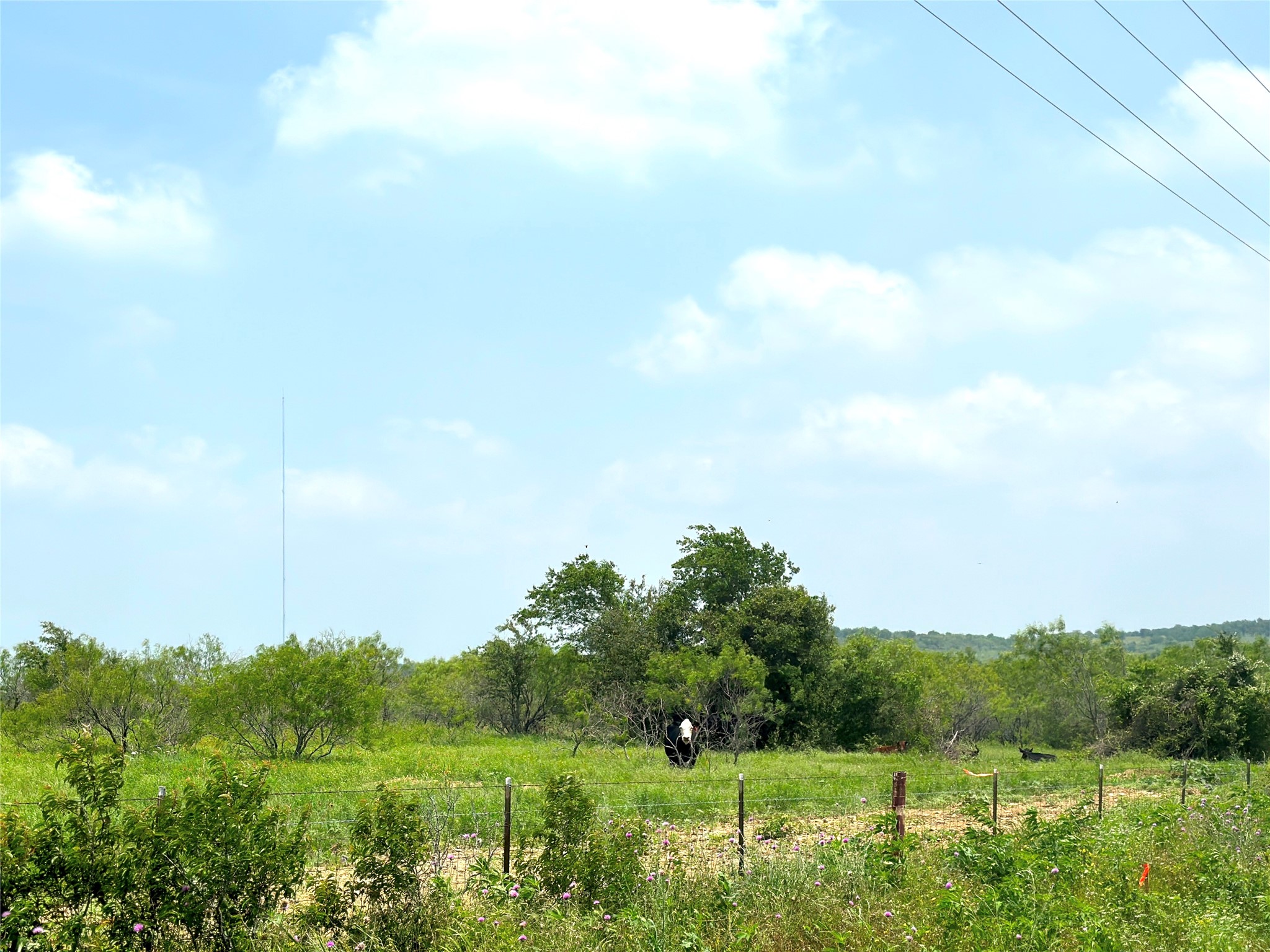 14.6 Ac. Tract 6 Tower Drive Moody TX 76557