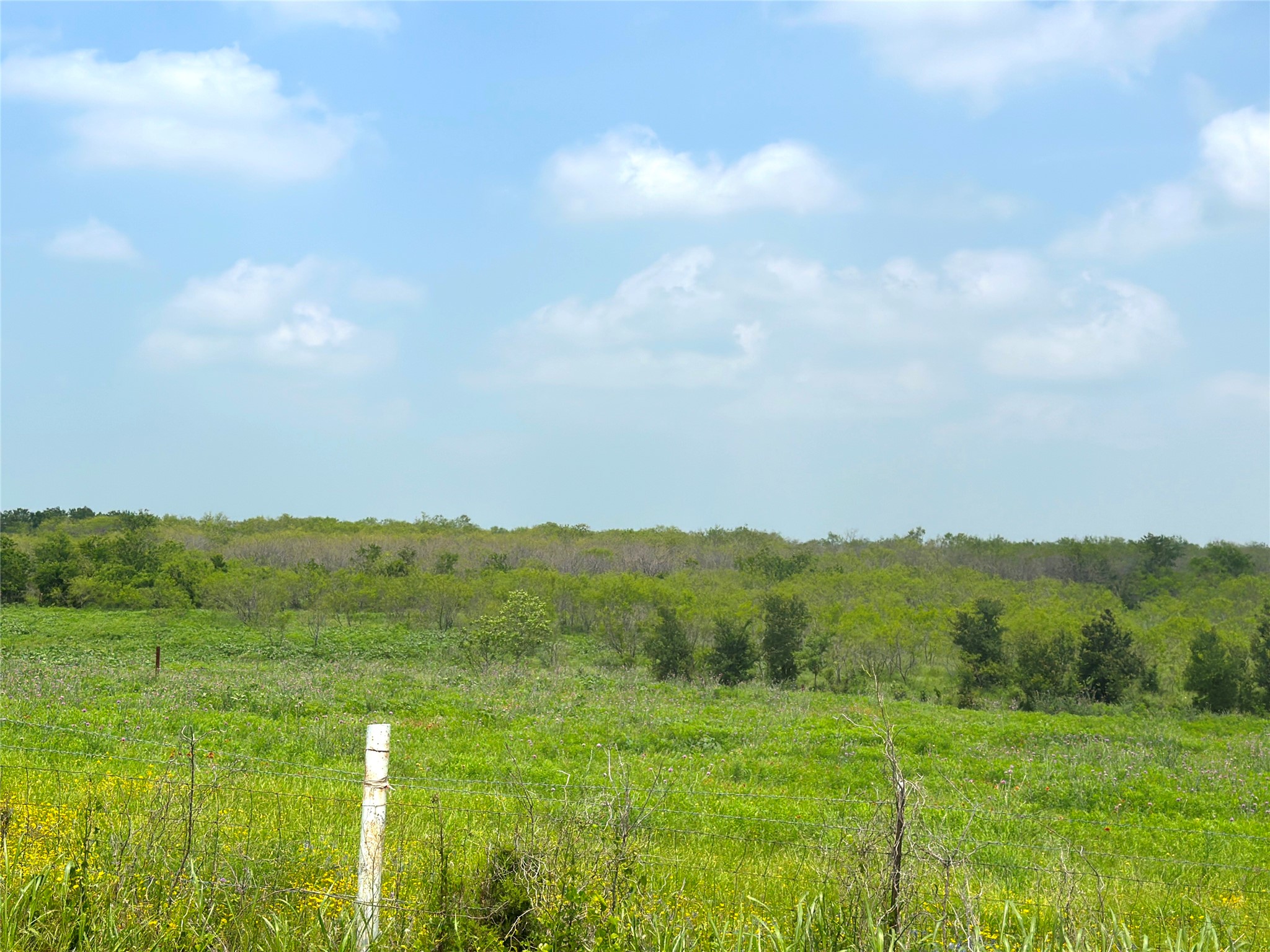14.6 Ac. Tract 6 Tower Drive Moody TX 76557