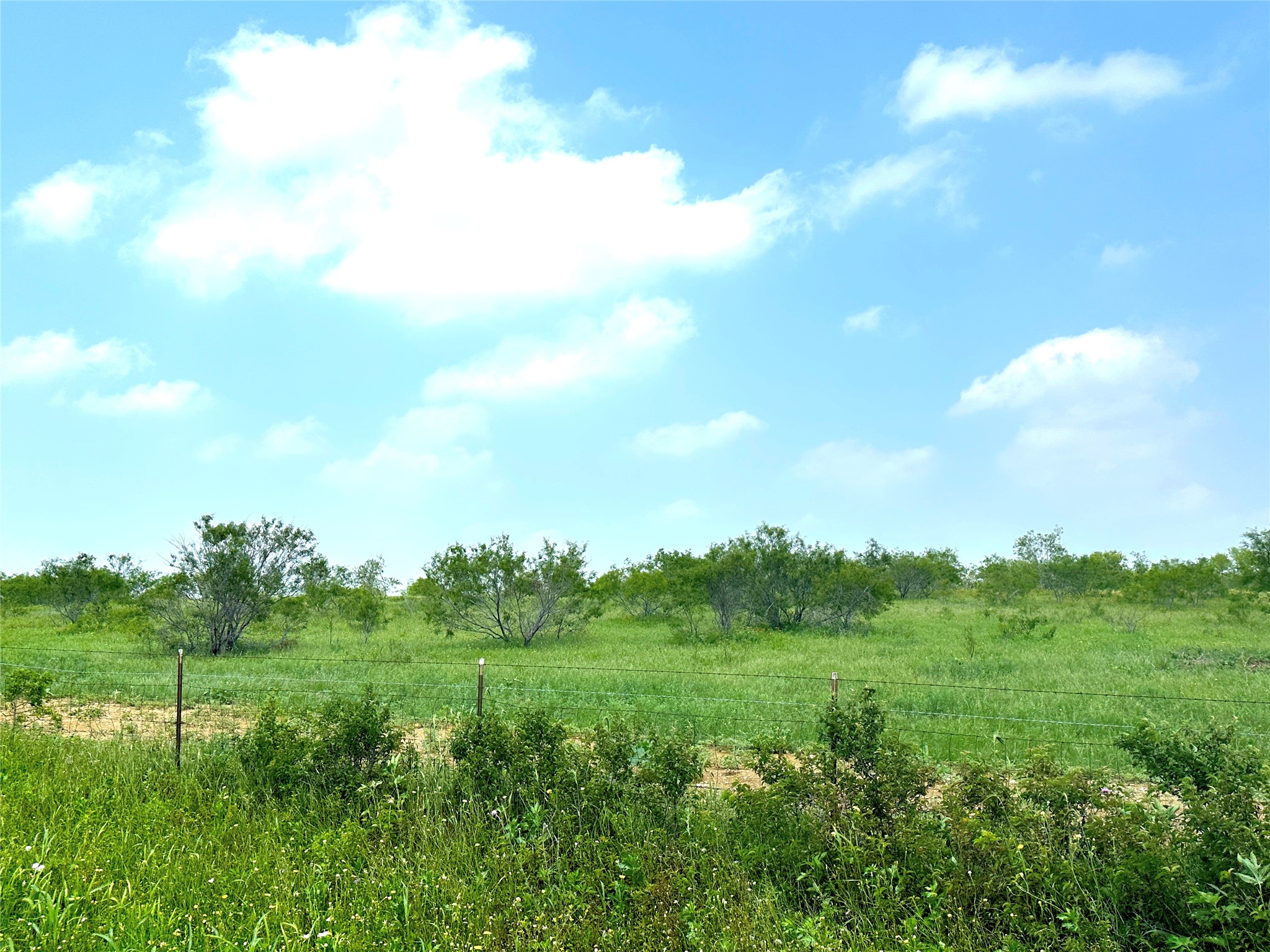 14.6 Ac. Tract 6 Tower Drive Moody TX 76557