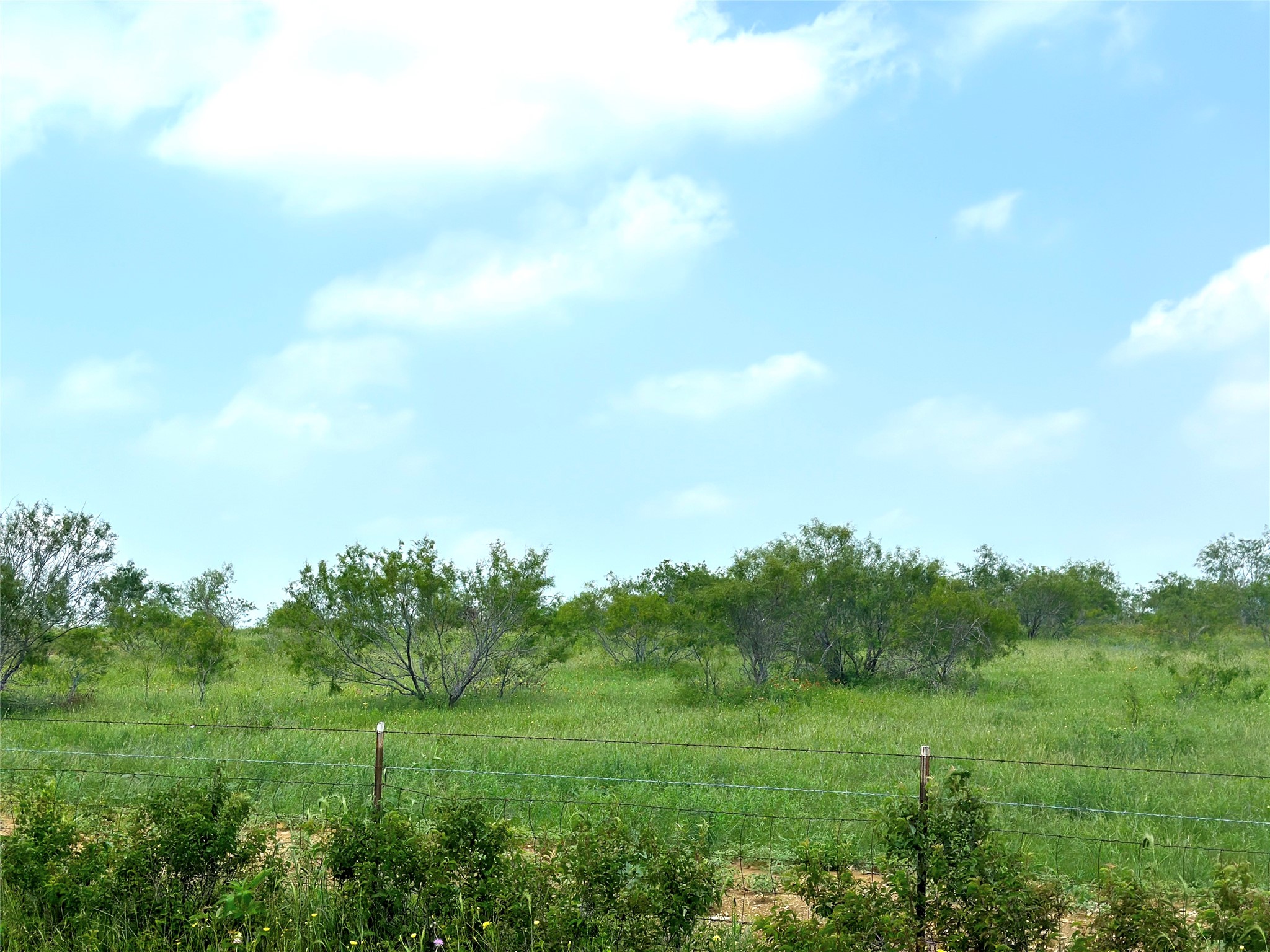 14.6 Ac. Tract 6 Tower Drive Moody TX 76557