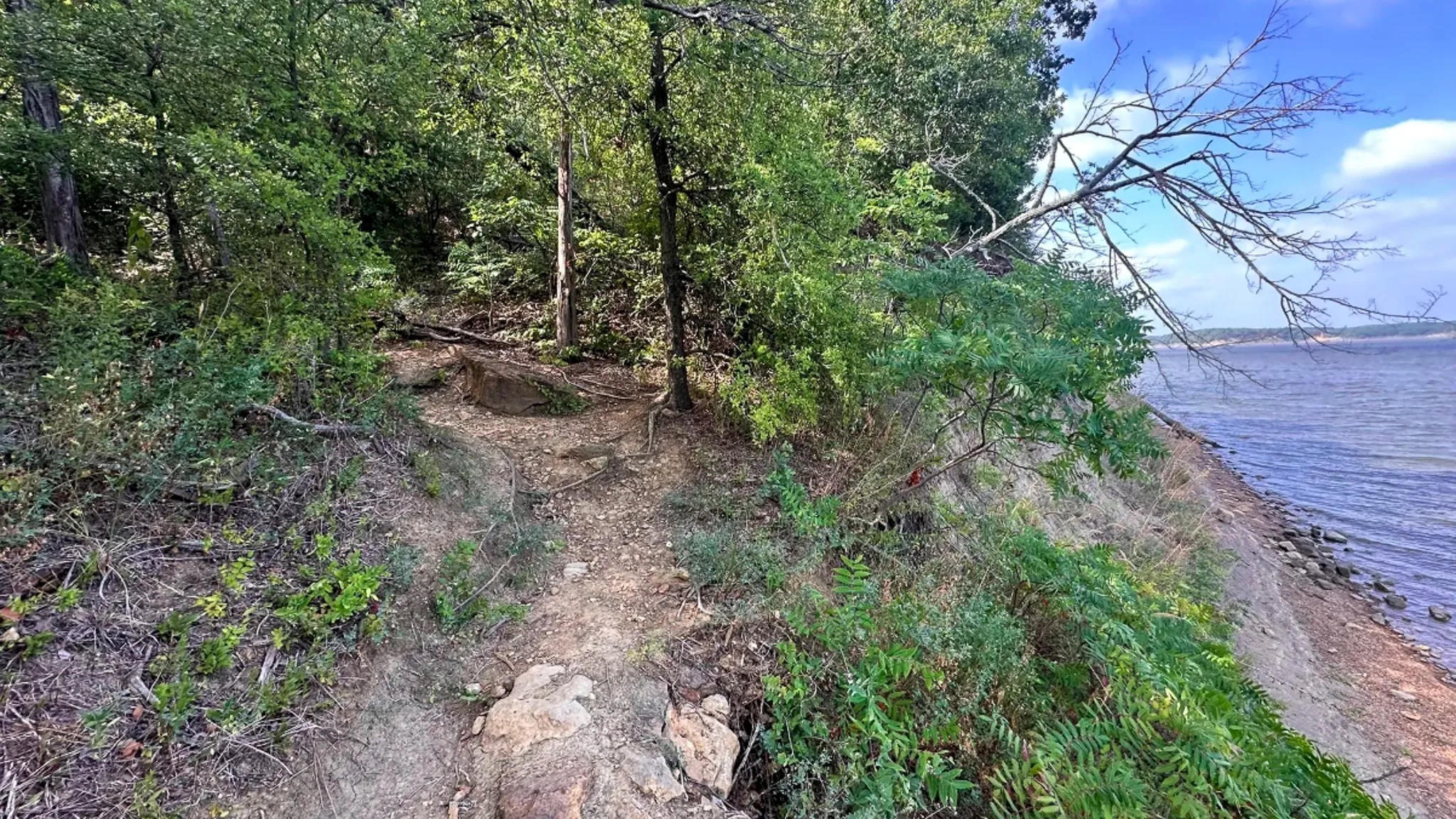 46 Cabo Del Sol Gordonville TX 76245