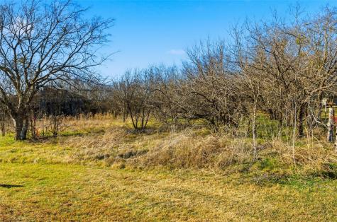 Tbd Lcr 140 Coolidge TX 76635