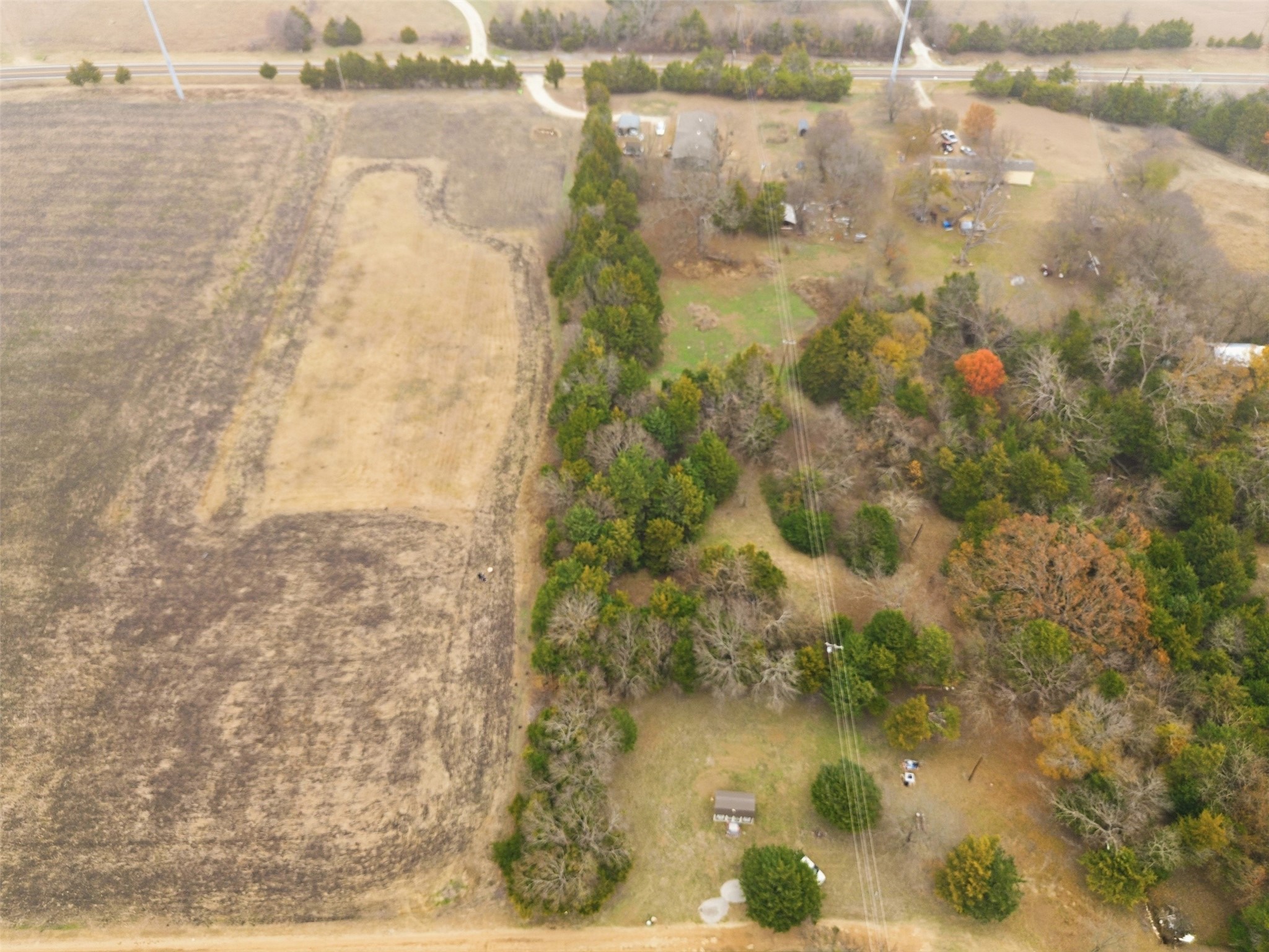 Farmersville TX 75407