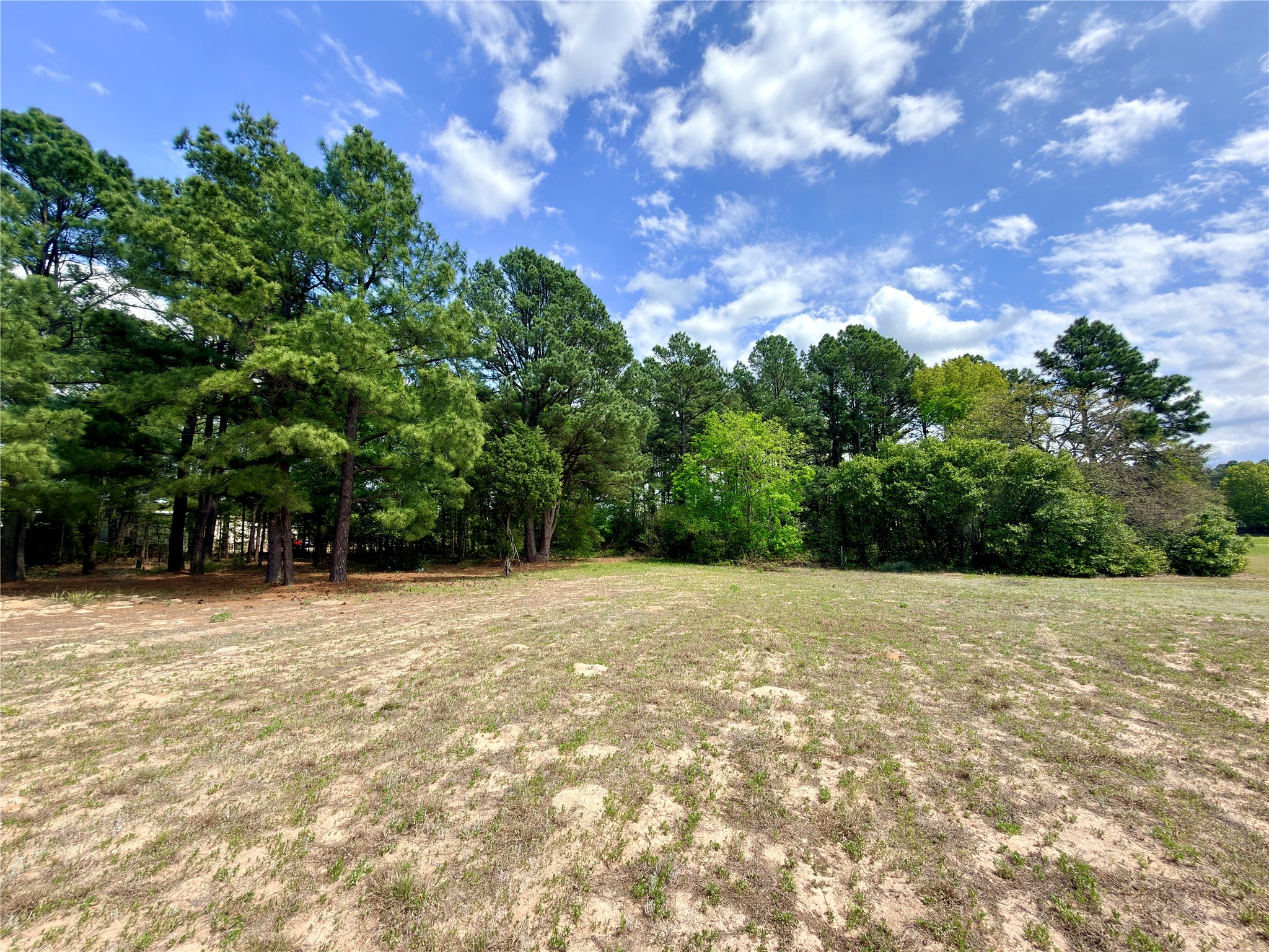 0 Palomino Court Athens TX 75752