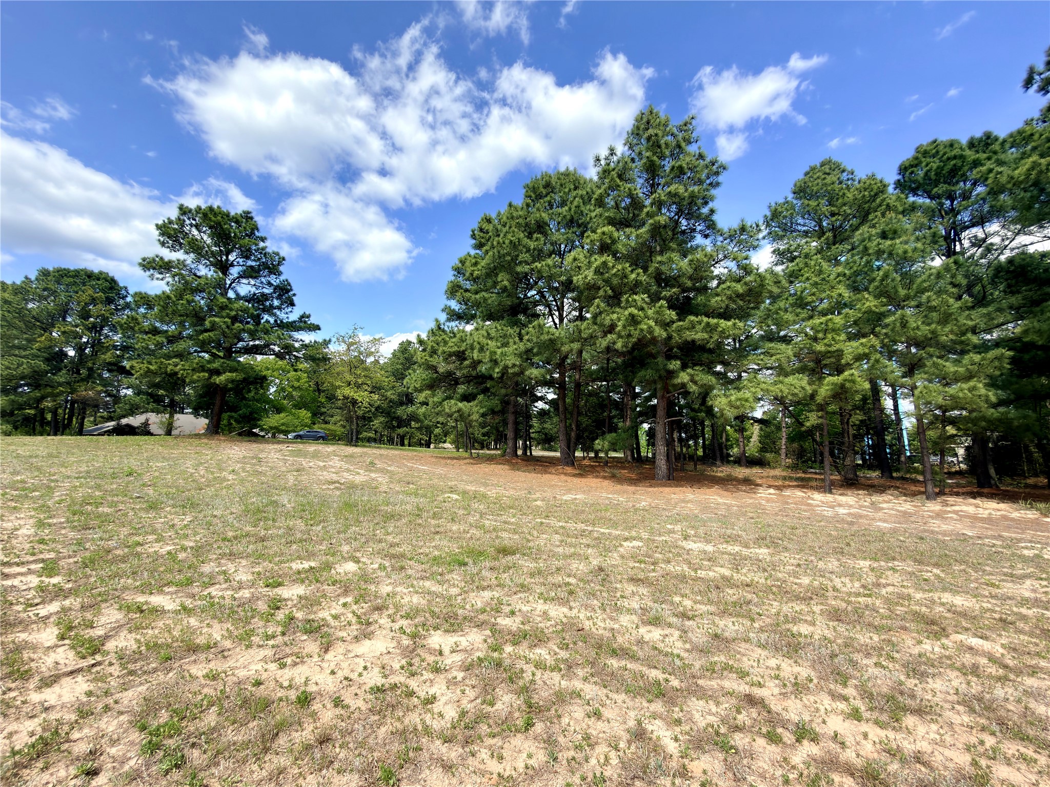 0 Palomino Court Athens TX 75752