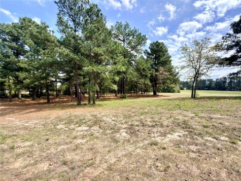 0 Palomino Court Athens TX 75752
