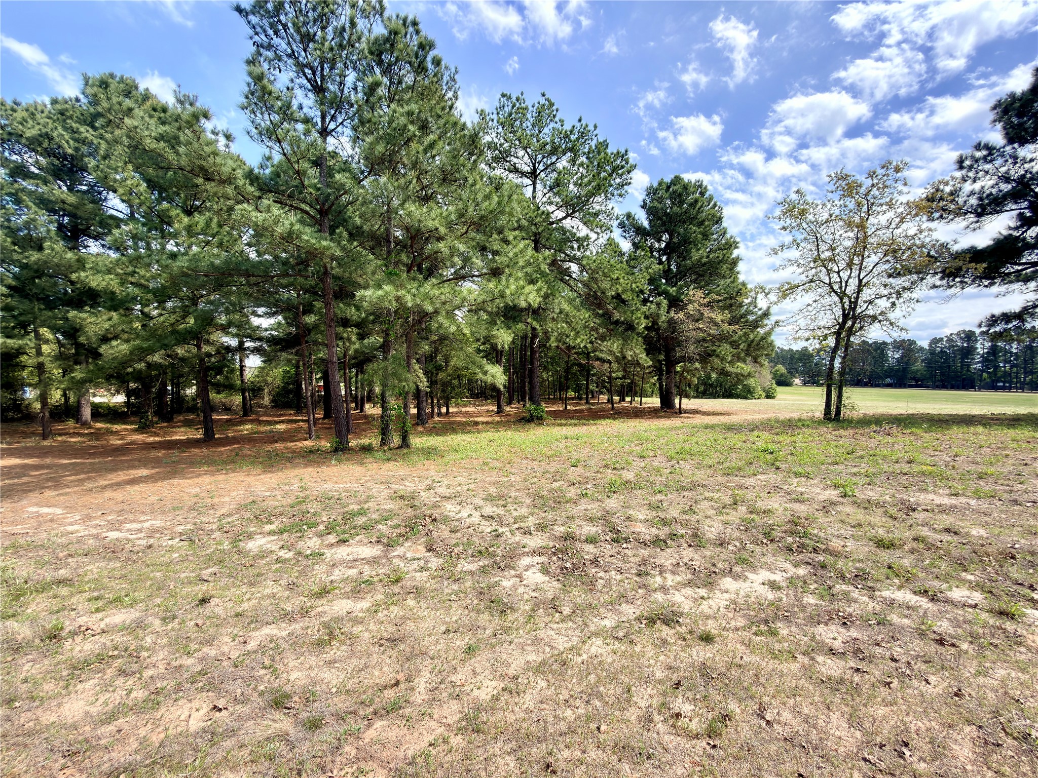 0 Palomino Court Athens TX 75752