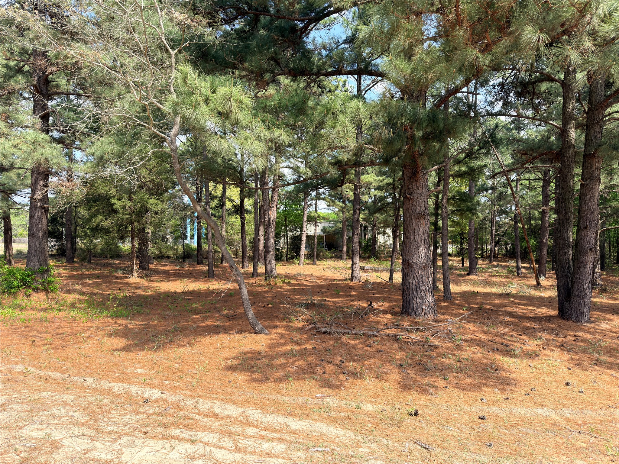 0 Palomino Court Athens TX 75752