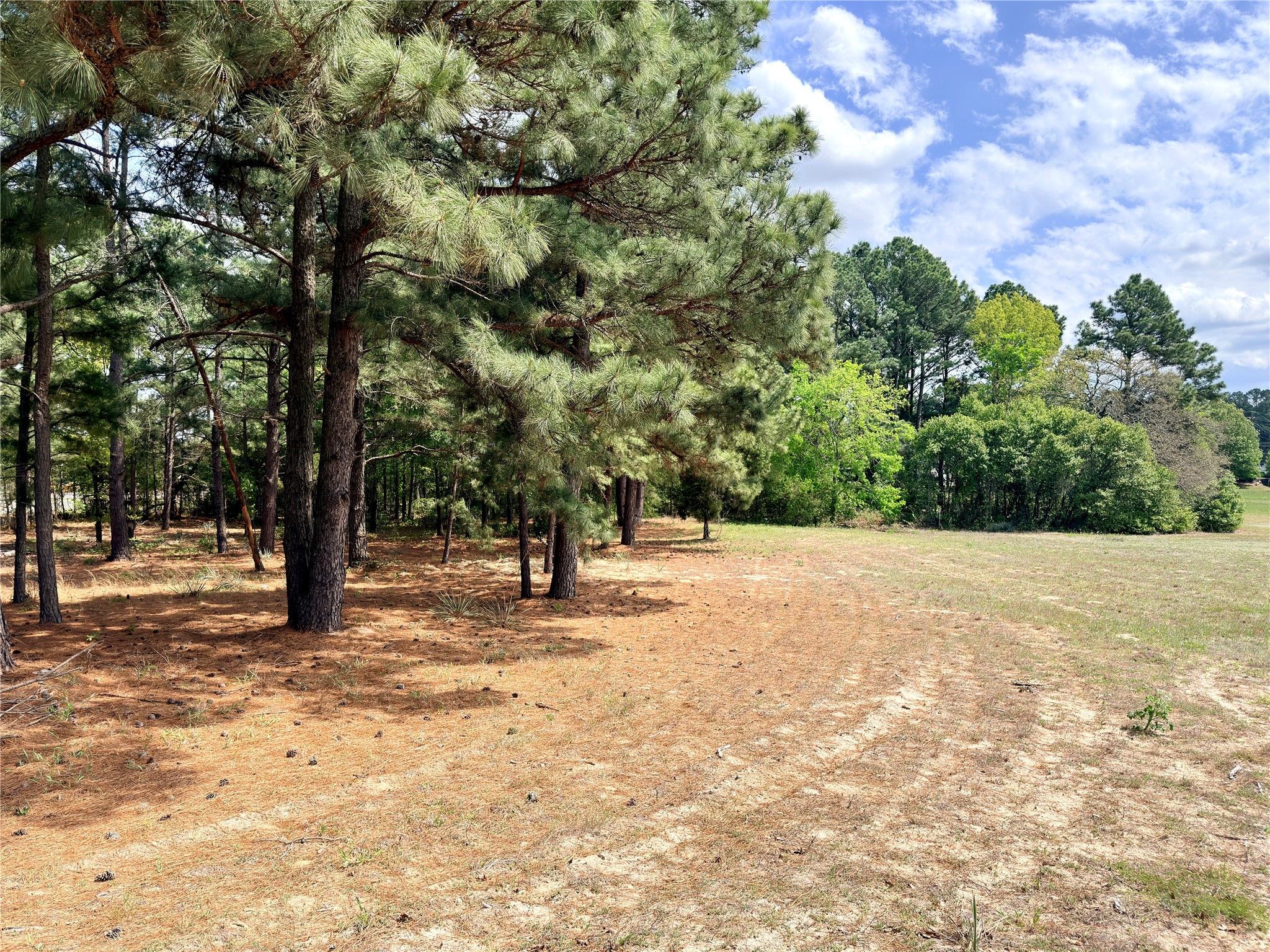 0 Palomino Court Athens TX 75752