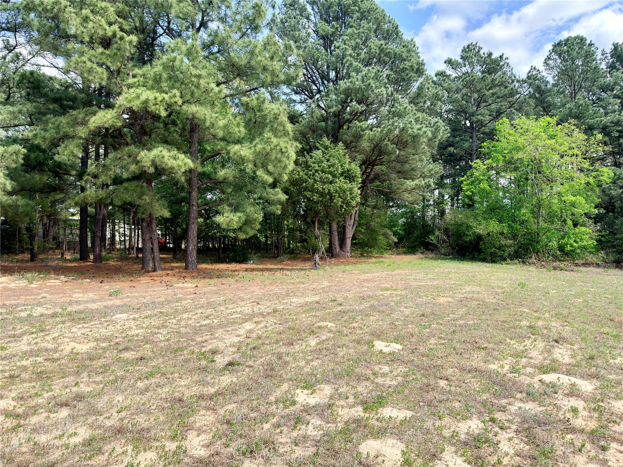 0 Palomino Court Athens TX 75752