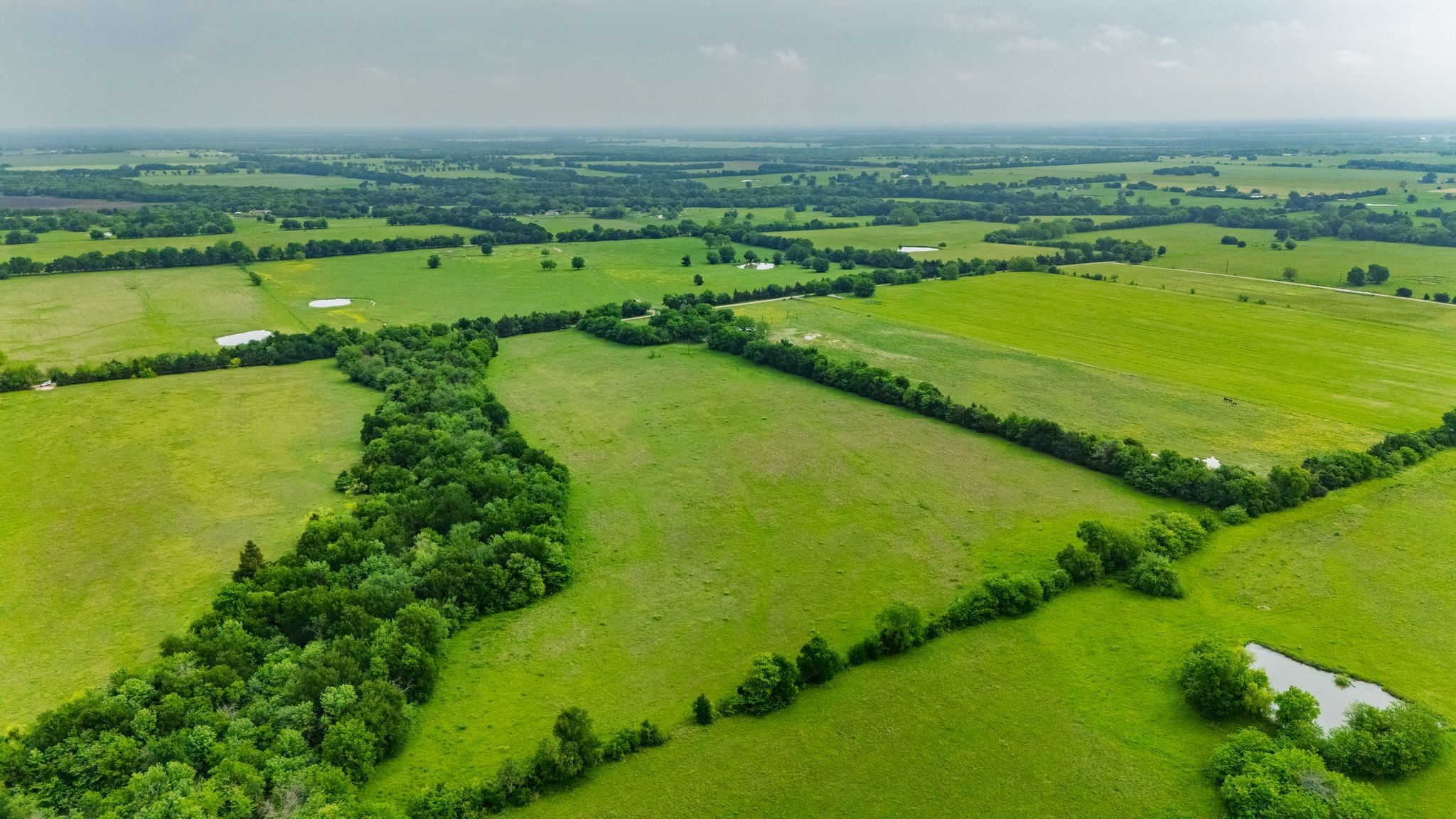 Tbd Cr 4705 Commerce TX 75428