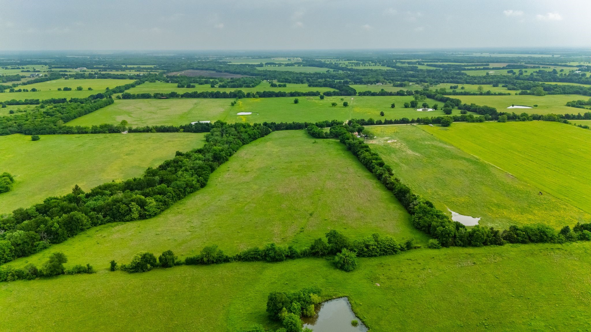 Tbd Cr 4705 Commerce TX 75428