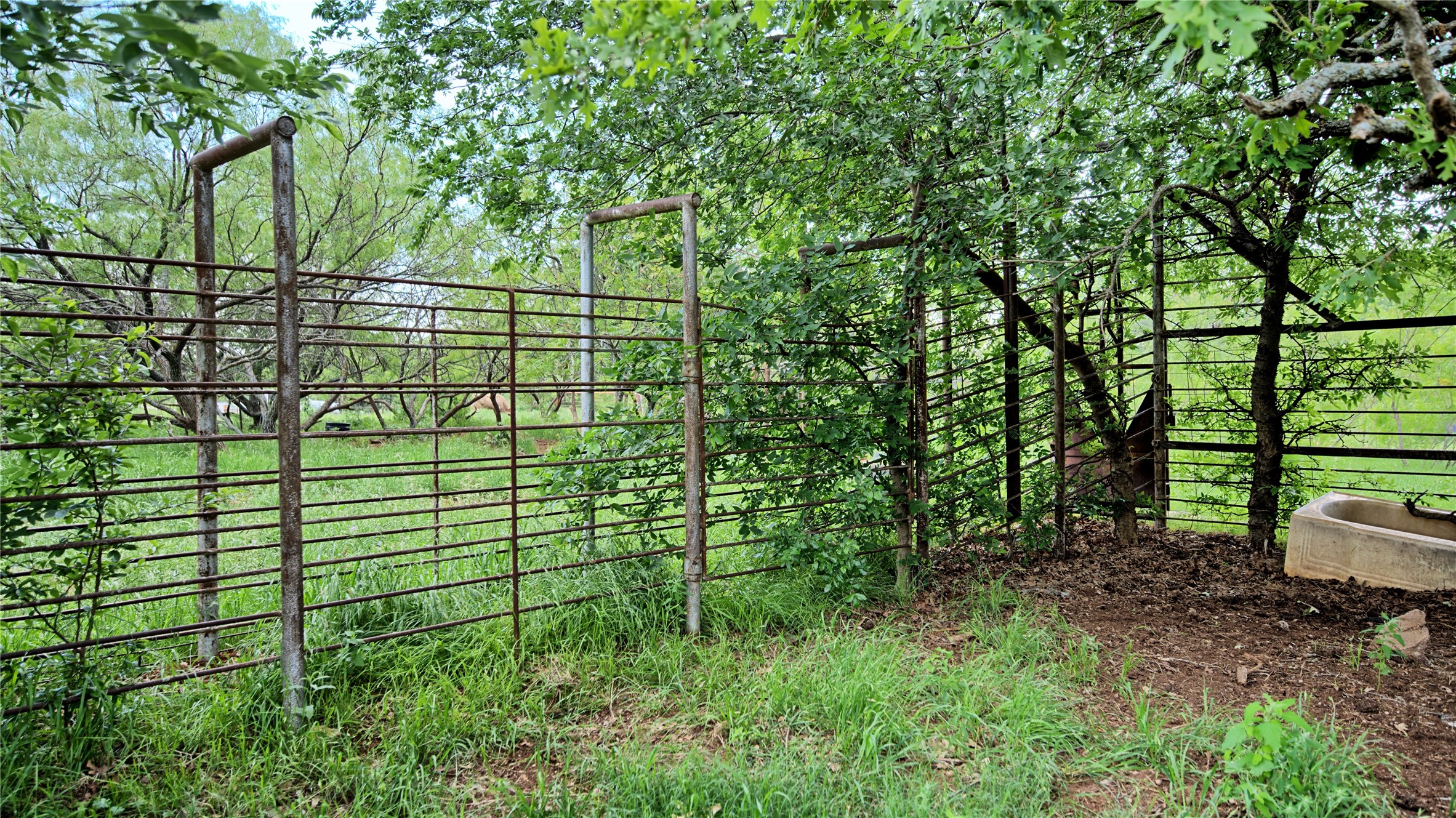 Tbd Cardwell Road Ringgold TX 76261