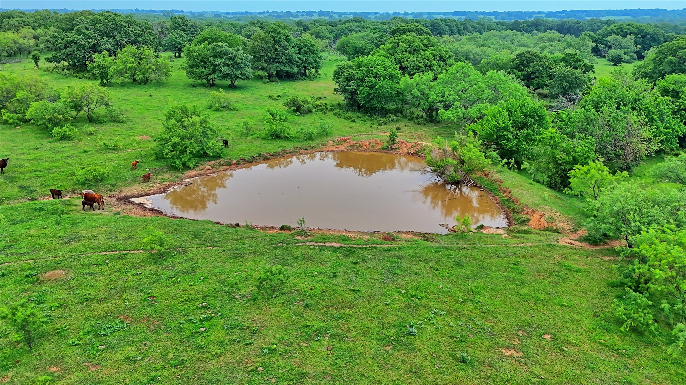 Tbd Cardwell Road Ringgold TX 76261